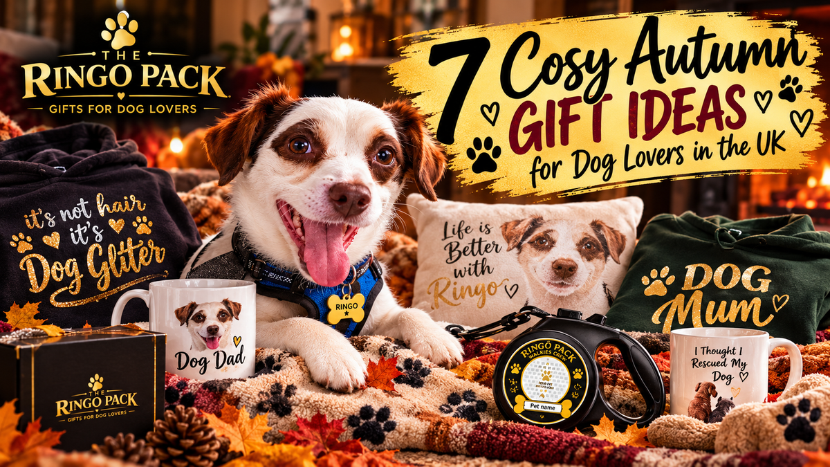 7 Cosy Autumn Gift Ideas for Dog Lovers in the UK 🍂🐾