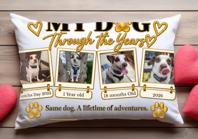 My Dog Through the Years personalised four-photo dog keepsake pillow displayed on a wooden surface with pink heart cushions, featuring Ringo's photos and milestone captions.