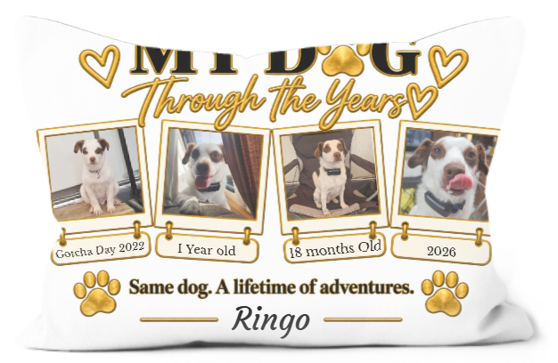 Personalised My Dog Through the Years photo pillow featuring four pictures of a Jack Russell, milestone captions and gold paw print details on a white background.