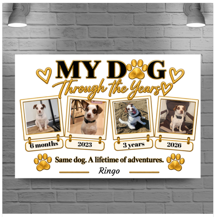 My Dog Through the Years personalised dog photo canvas featuring four photo spaces, milestone captions, optional dog's name and gold paw print details.