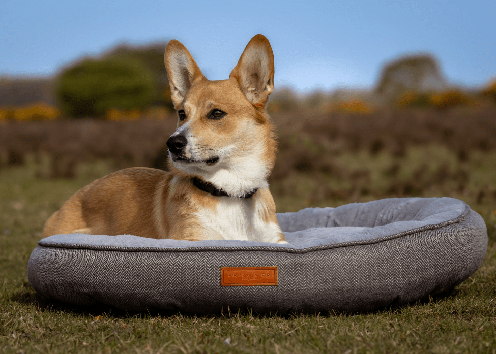 The Balmoral Luxury Herringbone Calming Donut Dog Bed