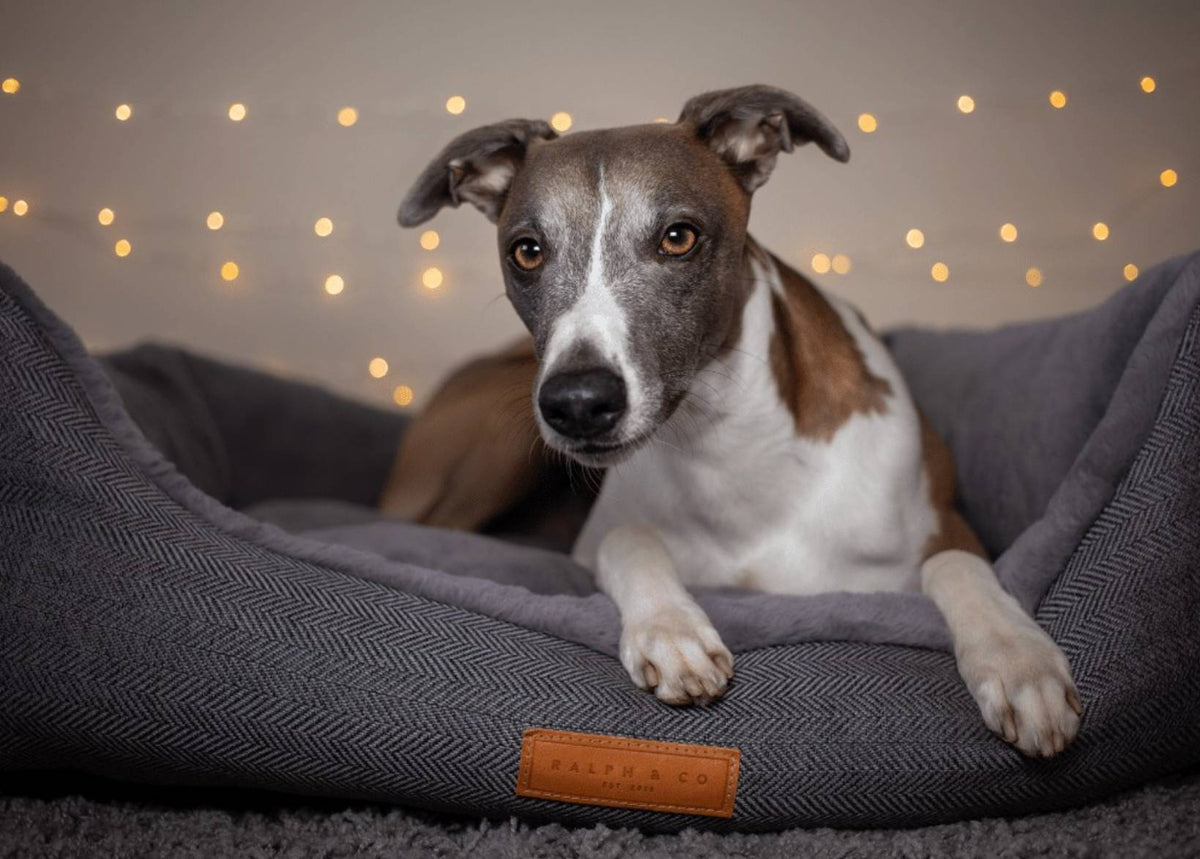 Balmoral luxury grey herringbone bolster dog bed with soft faux-fur interior