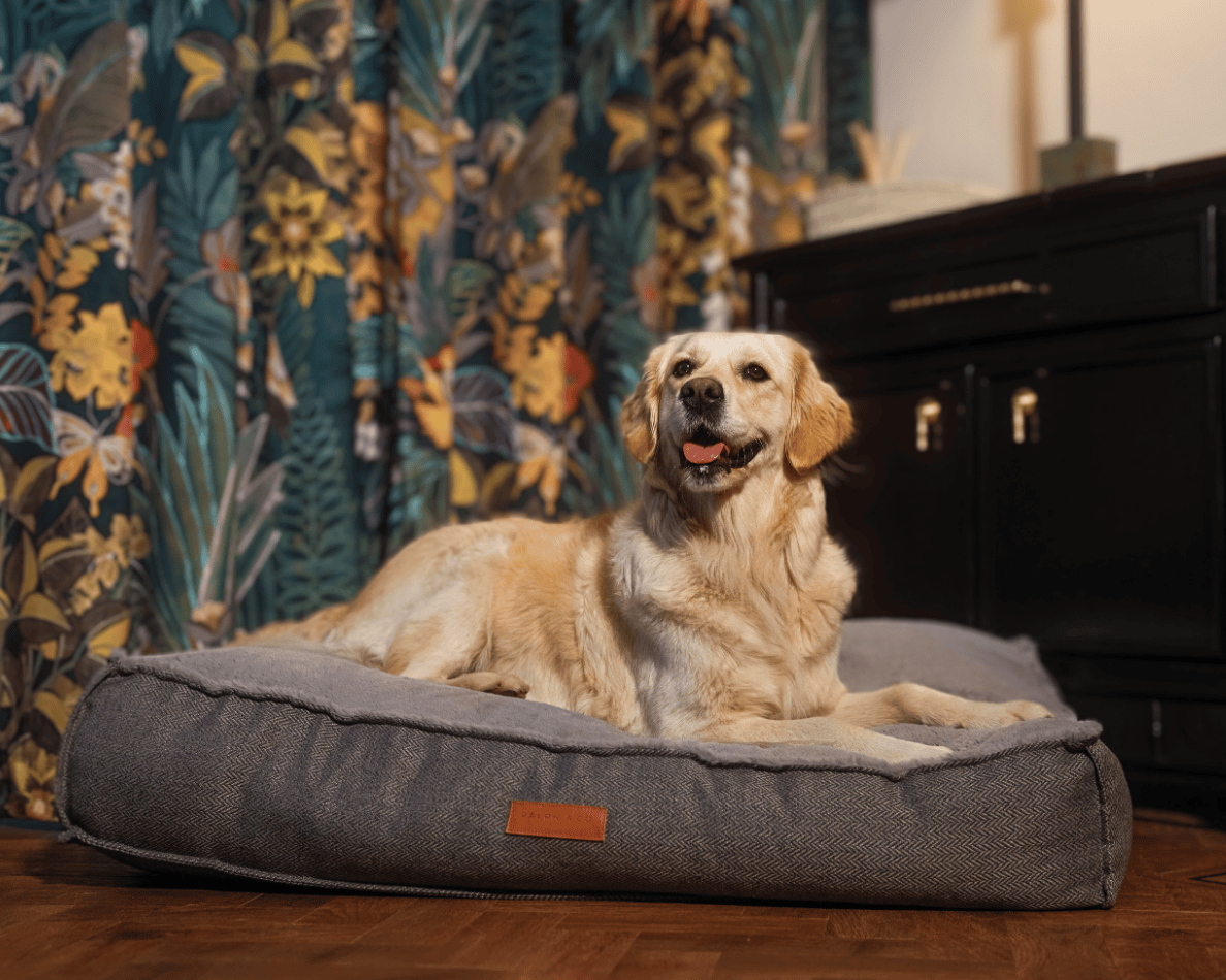 The Balmoral Luxury Herringbone Flat Pillow Dog Bed
