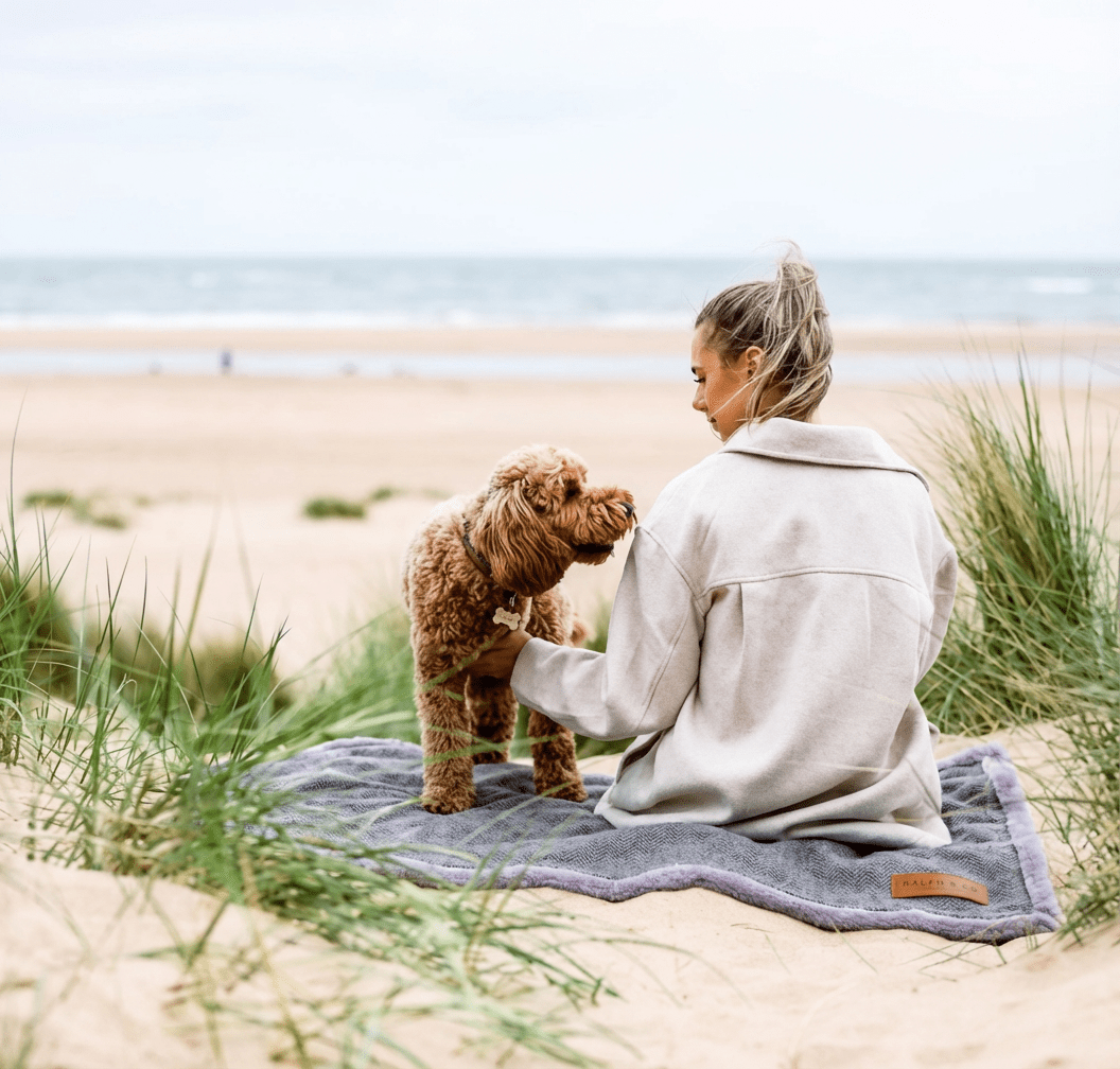 The Balmoral Luxury Herringbone Reversible Dog Blanket
