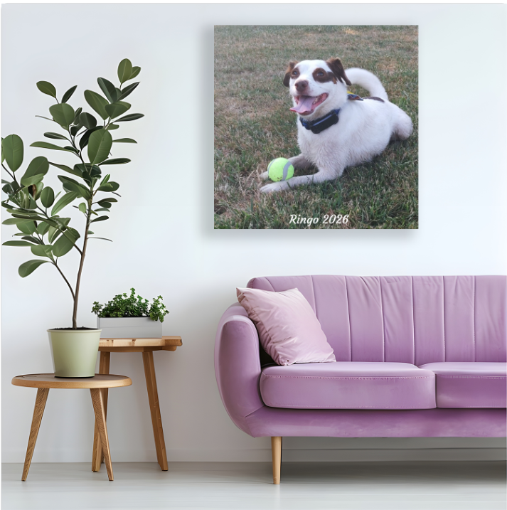 Personalised Pet Photo Canvas – Your Dog’s Photo on Canvas