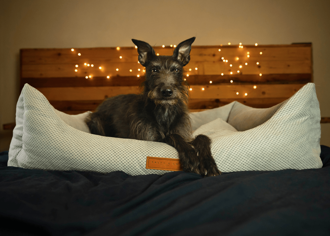 The Highclere Luxury Memory Foam Bolster Dog Bed