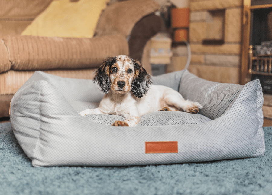 The Highclere Luxury Memory Foam Bolster Dog Bed