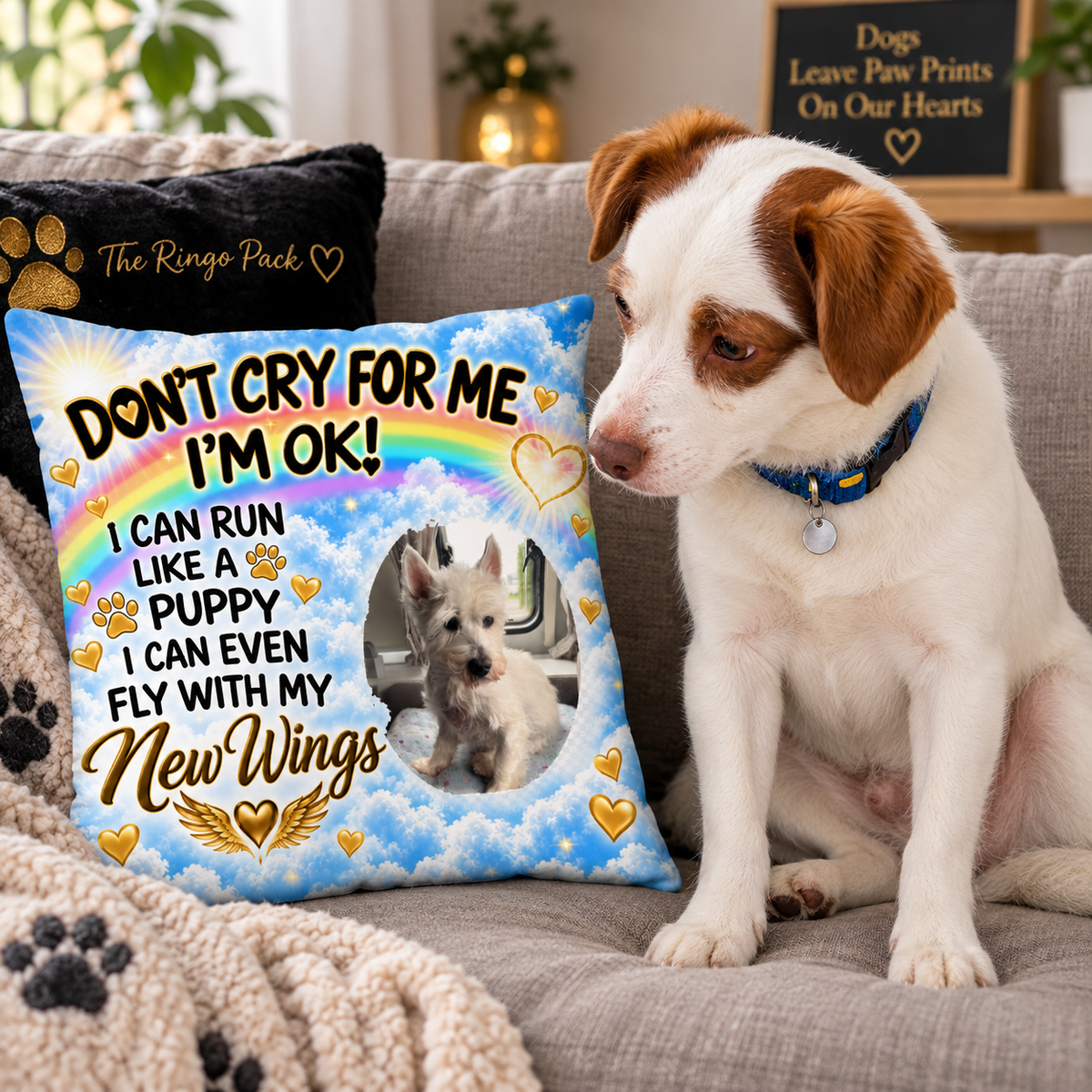 Personalised Rainbow Bridge dog memorial pillow with pet photo displayed on a sofa beside Ringo